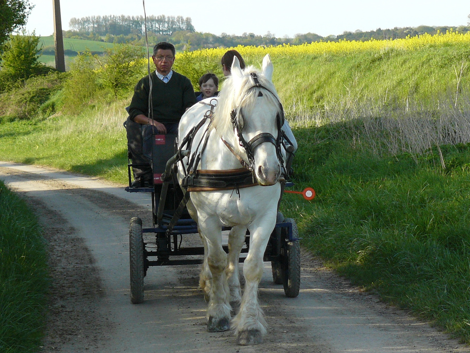 In a carriage